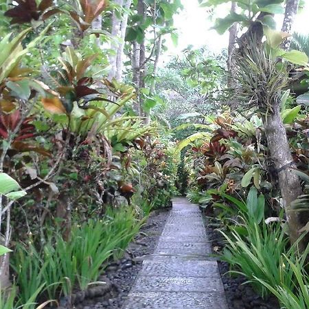 Pondok Pisces Bungalows Balian Beach Selemadeg  Экстерьер фото
