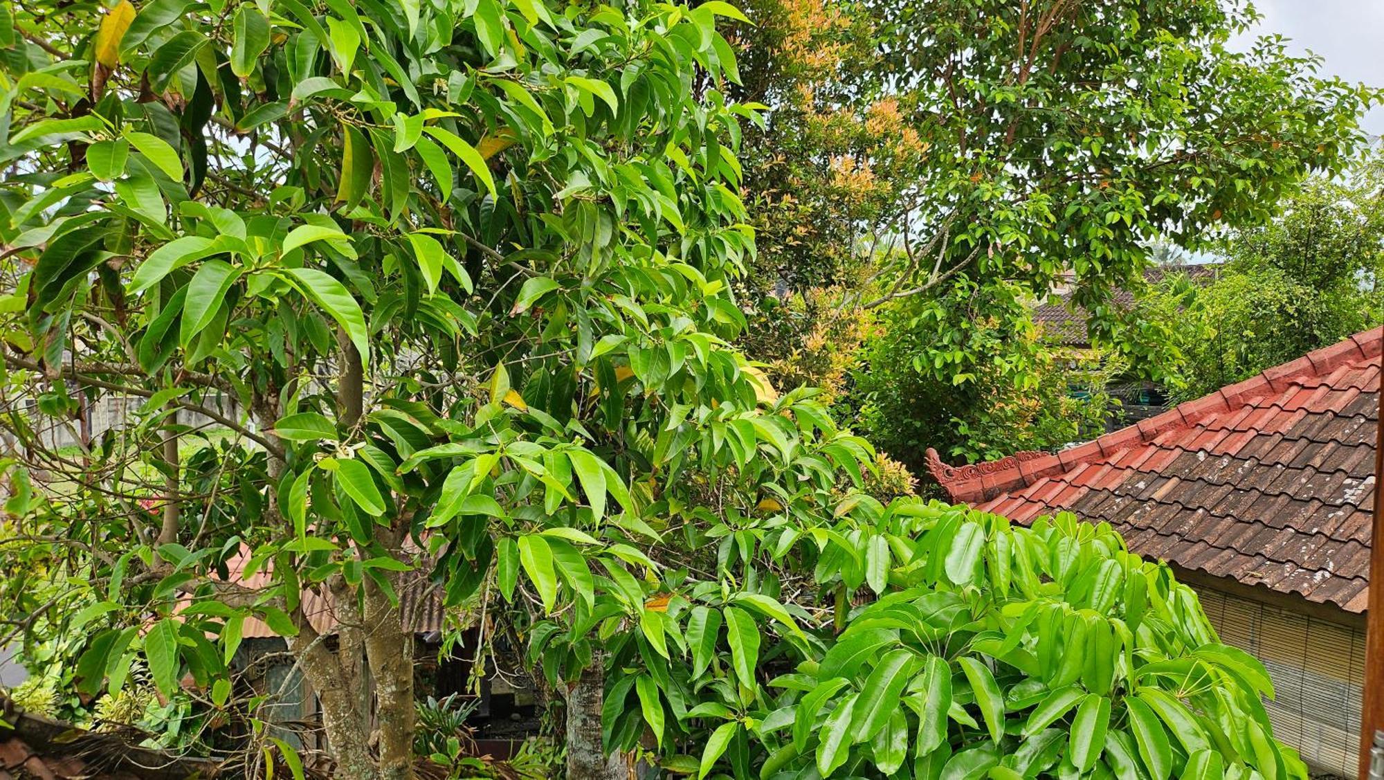 Pondok Pisces Bungalows Balian Beach Selemadeg  Номер фото