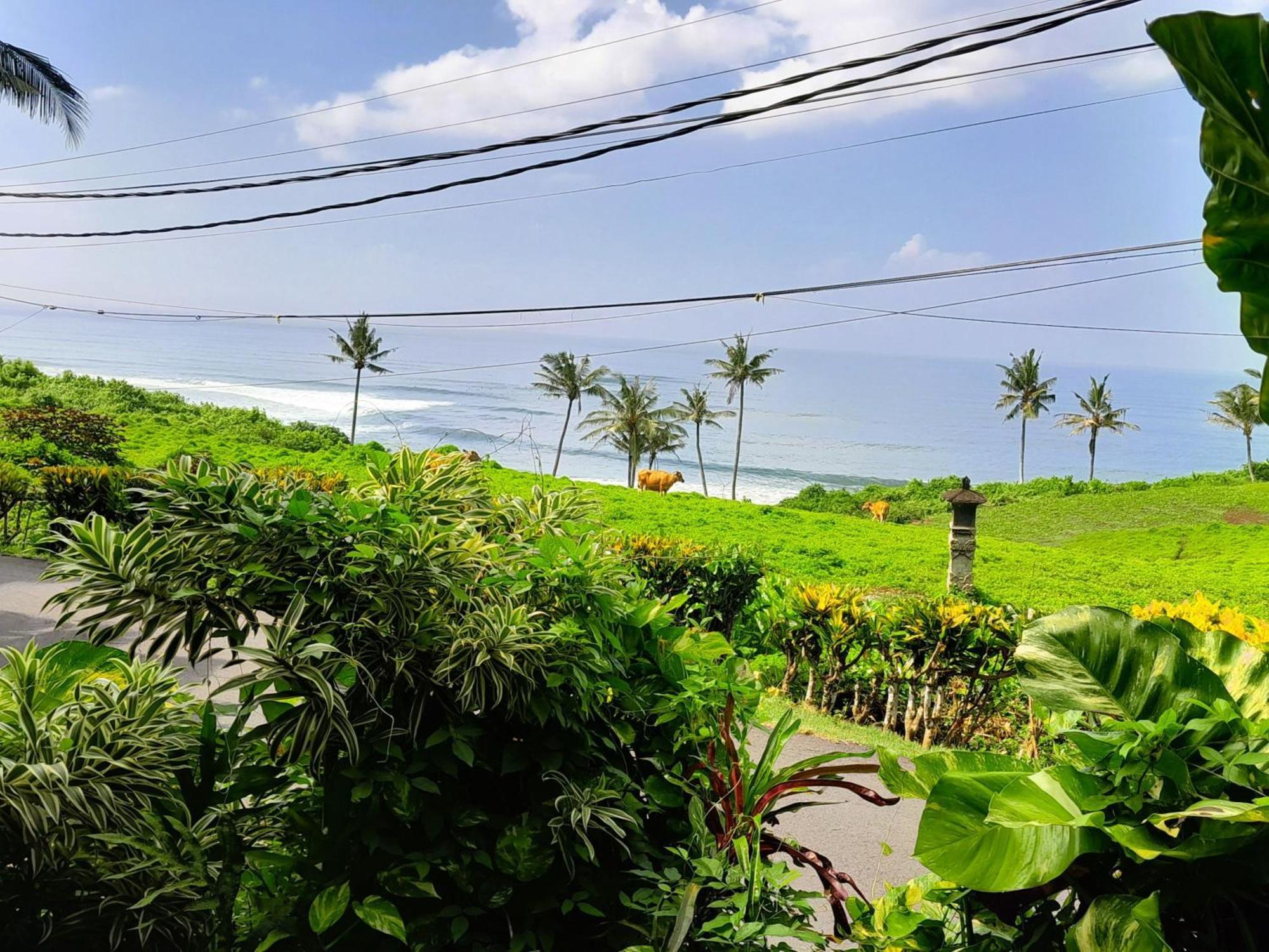 Pondok Pisces Bungalows Balian Beach Selemadeg  Экстерьер фото
